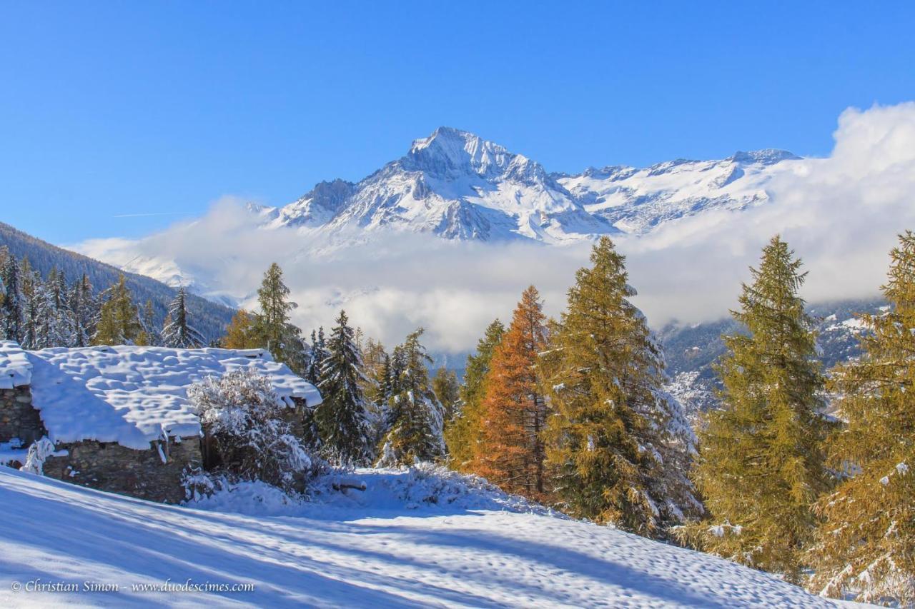 Les Balcons Proche Parc National Vanoise Appartements 2 Pieces 6 Pers Cabine Termignon Zewnętrze zdjęcie